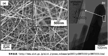 圖一、單晶錳酸鋰奈米線之電子顯微鏡影像