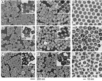 圖8、SEM and TEM images showed the different stages of the galvanic replacement reaction with different types of Ag nanostructure as the sacrificial template.