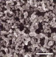 圖一、奈米多孔的二氧化鈦(TiO2)電極結構