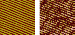 圖一、利用s-SNOM量測藍光光碟相變化記錄層的地貌圖(圖左) 及光場強度圖(圖右)