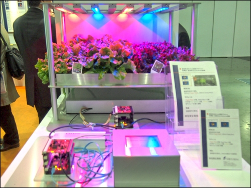 德國大廠Osram採用450nm和660nm波長，展示LED在植物生長照明的應用