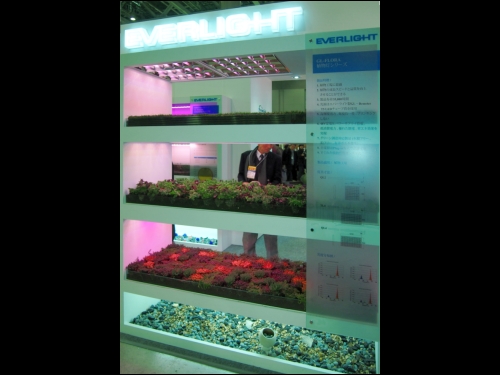 台灣億光電子以實際作物展示LED植物燈可配合不同植物的光受器需求，調整提供植物在每個階段生長最適合的光譜