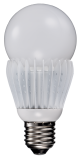 LED Bulb