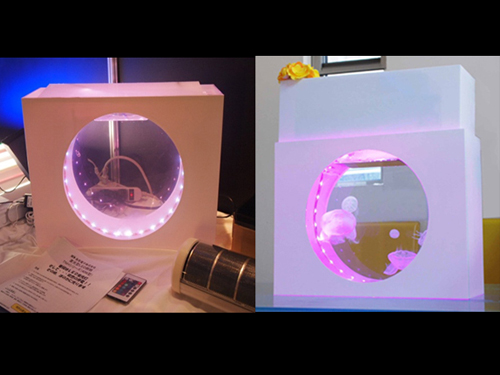 展出公司：鳥取電子<br>商品名稱：LED水母水槽<br> 
商品特色：客製化水族用LED照明及水槽，燈光有顏色變化，營造浪漫氛圍