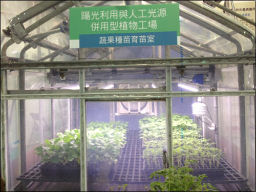 農委會展示之蔬果種苗育苗室，為一可併用太陽光與人工光源的植物工廠