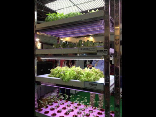 詮興科技展示利用Wide-Band LED，可調光譜與亮度的植物工廠，據云已獲數國專利