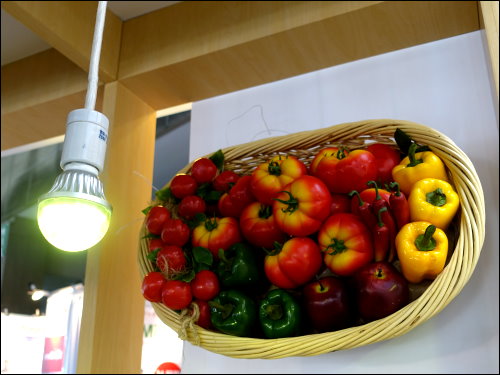 KOHA公司展出具有防蛾功能的LED燈泡，可在農用領域發揮效益