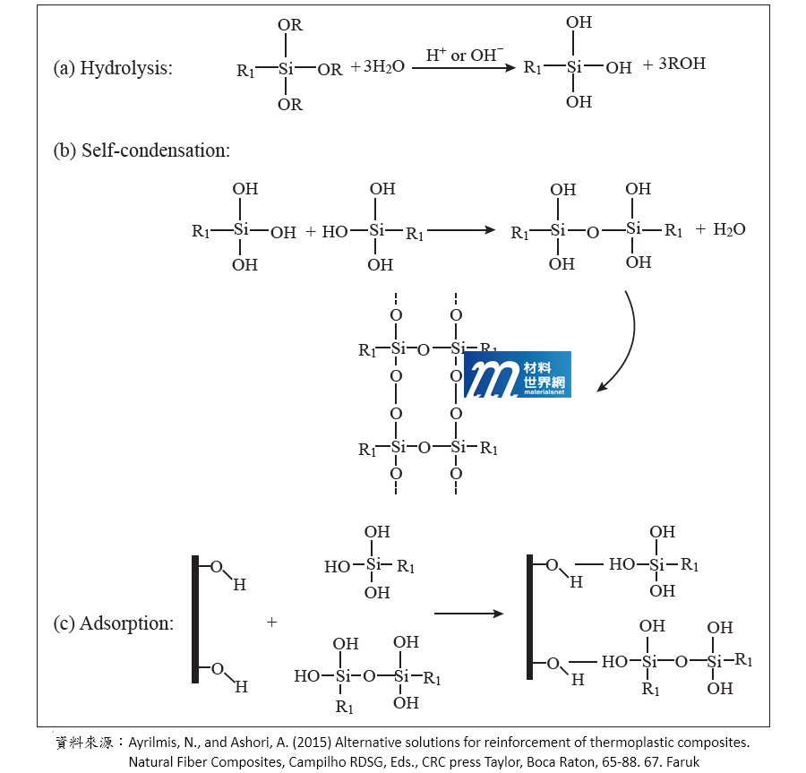 圖六、(a)分子水解形成醇類；(b)自體縮合成聚合物；(c)與纖維上的羥基反應