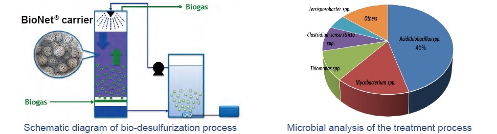 Biological Desulfurization Technology－Features