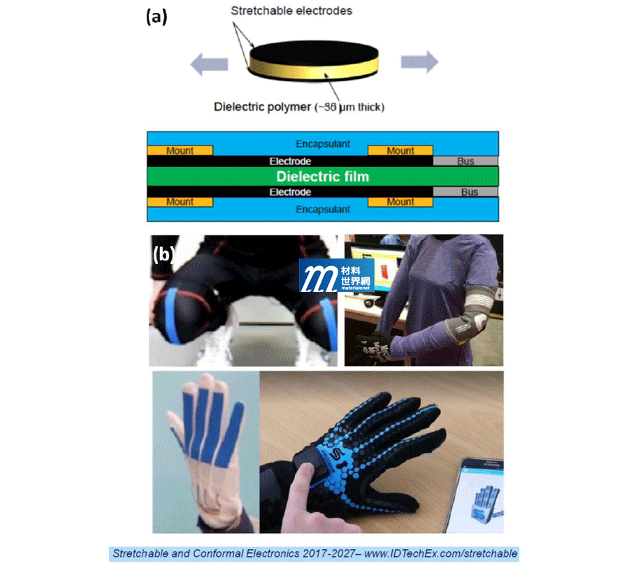 圖二、(a) 壓電感測器元件示意圖；(b)壓電感測器可應用在膝關節、肘關節和手套等產品上