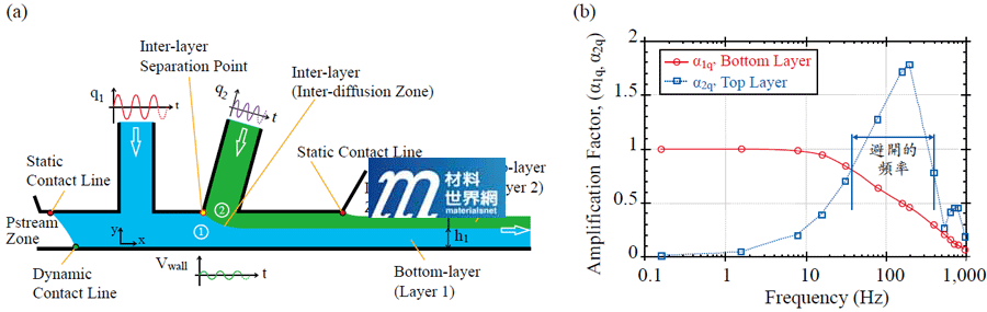 圖九、雙層塗佈Pump頻率影響(a)流場模型；(b)上、下層頻率變化