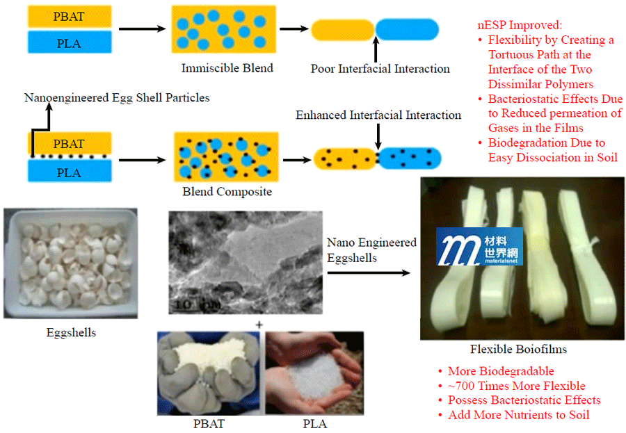 圖十八、蛋殼奈米顆粒增強生質塑膠