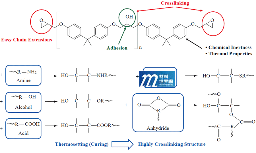 圖一、常用環氧化合物分子結構性質與交聯反應