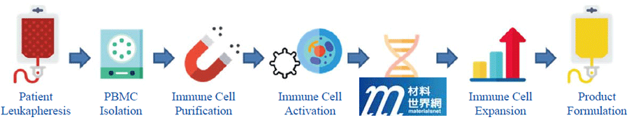 圖一、CAR-T細胞生產製程流程圖