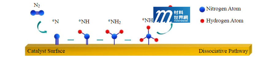 圖一、電化學觸媒催化氮氣還原形成氨之反應機制圖