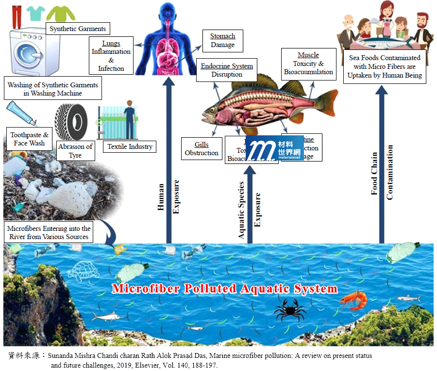 圖二、微纖進入海洋途徑以及其毒性