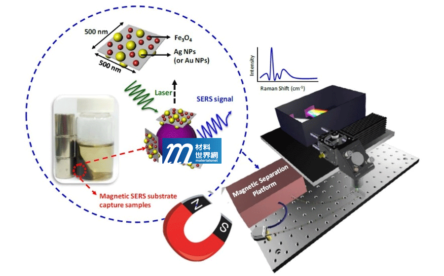 圖一、磁性金屬二維奈米片於磁分離及SERS快速生醫檢測平台技術示意圖