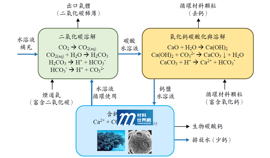 圖六、鈣溶解與產製生物碳酸鈣之製程示意圖