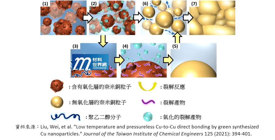 圖二、聚乙二醇奈米銅膠燒結機制示意圖