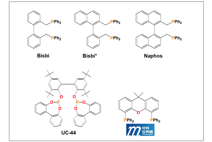圖六、螫合型膦配體