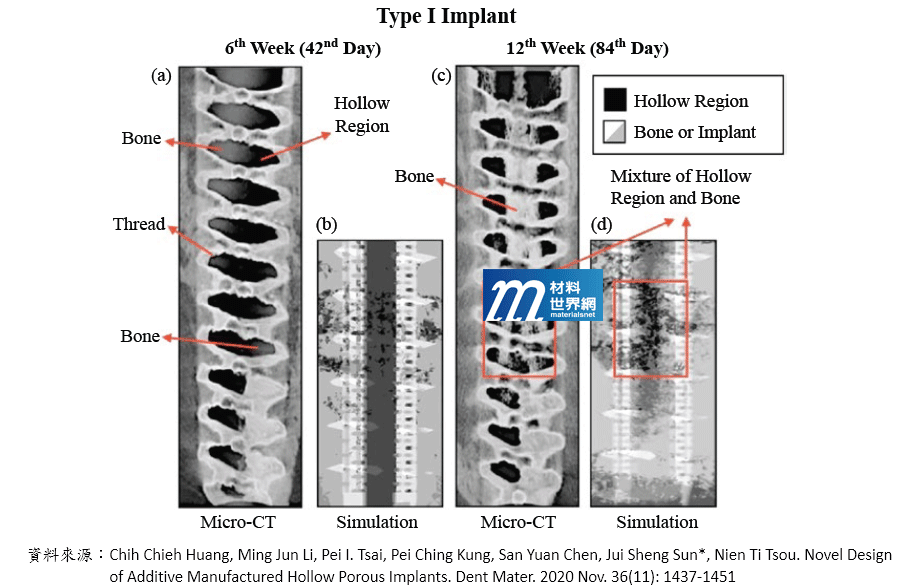 圖八、Type I骨釘動物試驗的微電腦斷層結果(a)、(c)與模擬預測結果(b)、(d)，在術後6周及12周的比較圖
