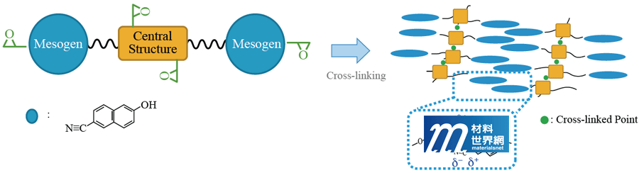 圖六、導熱樹脂TC Resin結構與交鏈固化示意圖