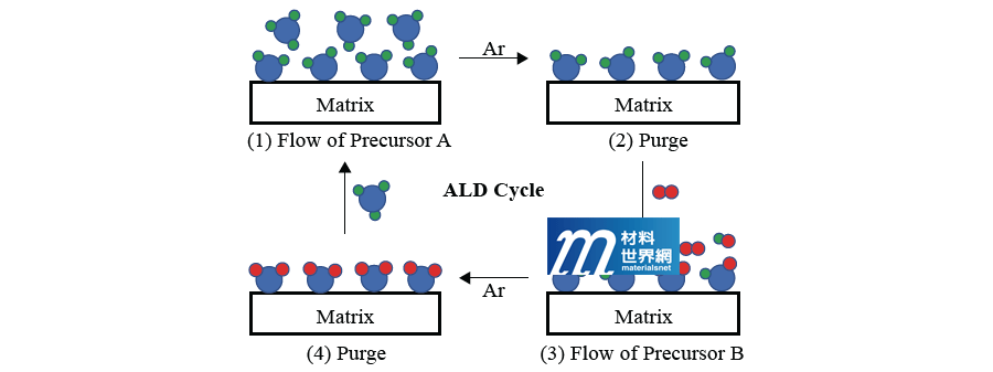 圖二、ALD循環反應機制