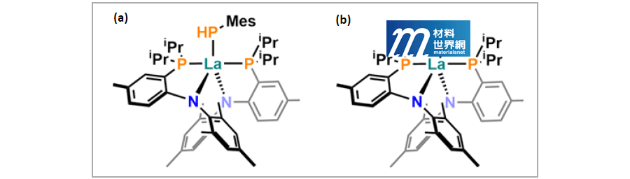 圖一、(a)以苯胺磷配體為支架的主要磷化物；(b) 2-磷乙炔硫酮錯合物