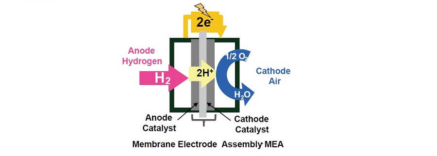 Membrane Electrode Assembly･MEA