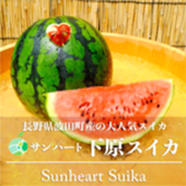今夏如期開展！報名&搜尋您感興趣的食品/飲品廠商